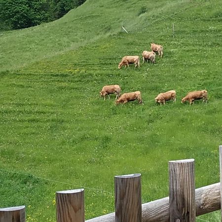 Albergo Diffuso Sauris In Sauris Di Sotto Eksteriør bilde